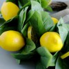 TONGMAN 3 Pcs Artificial Lemon Branches, Faux Greenery Stems Realistic