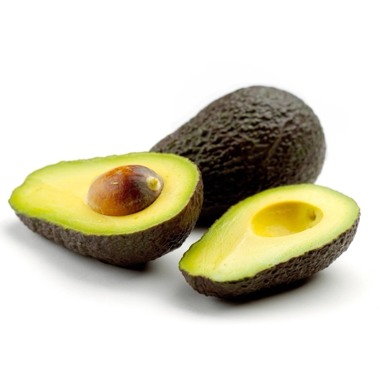 Tree Avocado Fruit Tree 10” With Pot Live Plant Ready