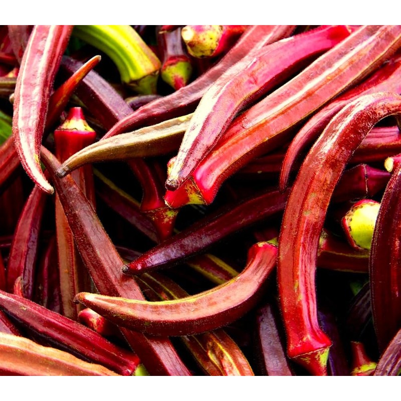 Okra Red 20+ Seeds for Planting Non-GMO Gumbo Lady's Finger
