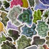 Undisclosed 100pc 1.5" Succulent Plant Cactus Stickers for Notebooks Water
