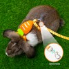 ORZECHKO Rabbit Harness and Leash - Adjustable Bunny Harness Escape