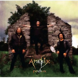 AMEBIX REDUX NEW 10 INCH LP