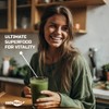 Wheatgrass Seeds | Non GMO | Grown in USA Wheat