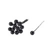 Tokyodo BZ002005-zzz Blackberry 5 Approx. Φ0.5-0.7/L6cm 1 Bag (72 Pieces)