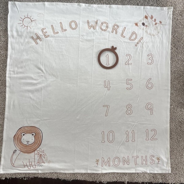 Carter's Baby Milestone Blanket w frame for Monthly Photos HELLO