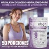Oby Colágeno Hidrolizado Resveratrol Ácido Hialurónico Polvo 100 Porciones