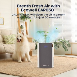 ECOWELL Air Purifiers for Bedroom, H13 HEPA Air Purifiers for Home Office Living Room, Air Filter Air Cleaner for Pet Dander Odors Smoke Pollen Dust, Small Air Purifier with 28dB Sleep Mode, EAP050