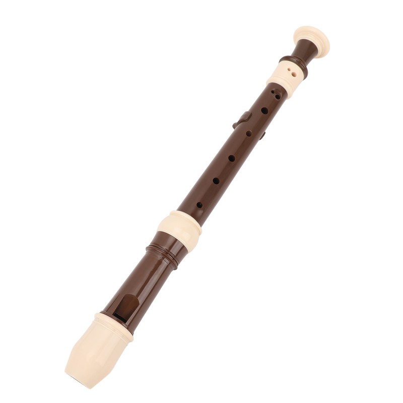 8 Hole Recorder Detachable Soprano Recorder Musical Instrument with Cleaning