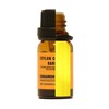 Ceylon Cinnamon Bark Oil - 10ml (0.33oz) net - Steam