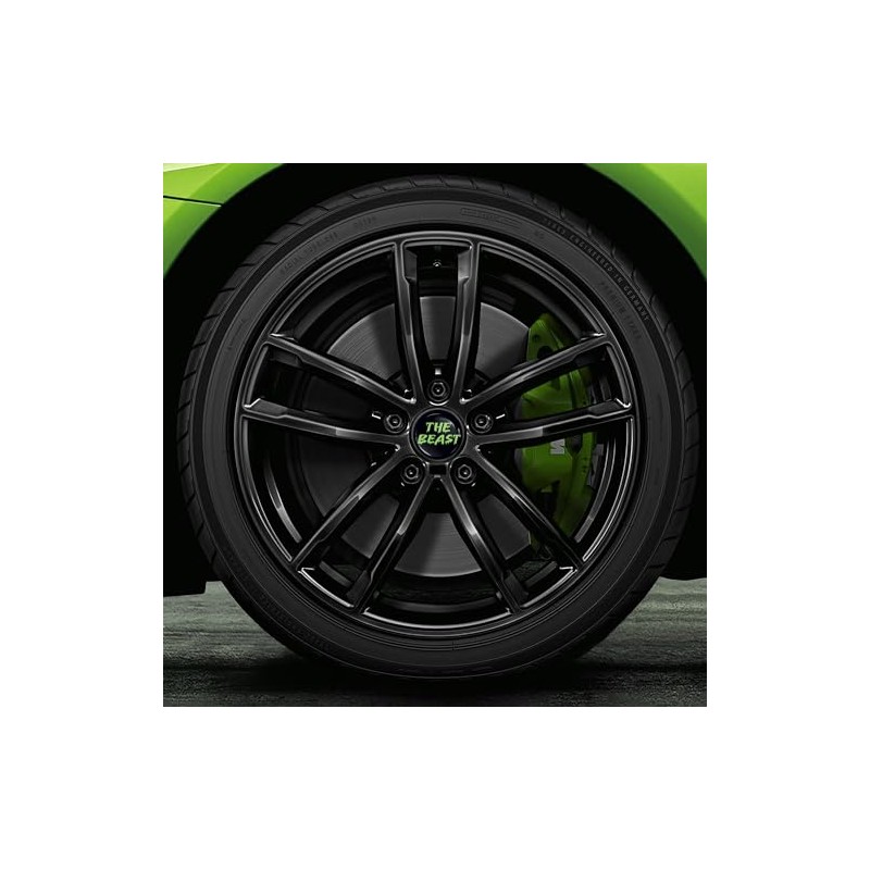 Skino 4 x 55 mm Car Sticker for Hub Caps