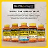 MASON NATURAL Ginkgo Biloba, 3 Month Supply, Helps to Improve