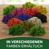 sphagnum-shop.com Real Decorative Moss Reindeer Moss in Red 500 g