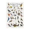 Where's Wildlife Backyard Birds of Nebraska Bird Identification Poster (8"