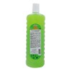 Shampoo Bergamota Del Indio Papago