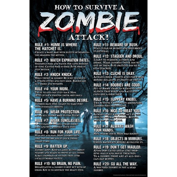 Laminated How To Survive A Zombie Attack Rules Guide Horror
