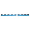 Conveyor Rails with Plastic Skate Wheels 5'- T1 Style Gravity