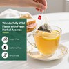 Dandelion Leaf and Root Tea Bag, Natural Dandelion Roasted Herbal