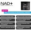 NAD+ Puro – 100 Porciones (500 mg c/u) | Eternal