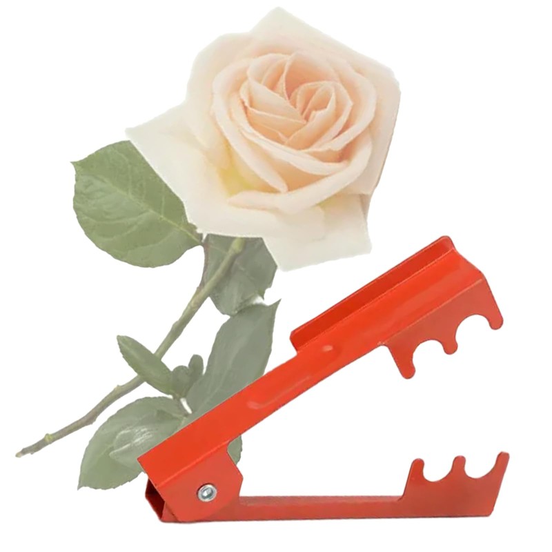 Molyorch 3 Pieces Rose Thorn Pliers, Trimming Pliers, Flower Scissors,
