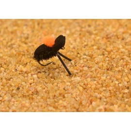 1 Doz High Visibility Foam Beetle Dry Fishing Fly - Hook Size #14