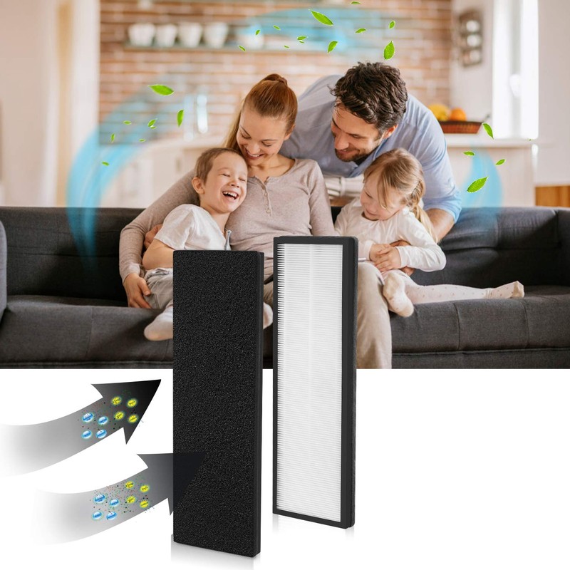 isinlive 2 Pack NEA-F1 H13 True HEPA Filter Compatible with