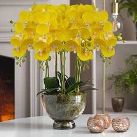 30 Inch Yellow Orchids Artificial Flowers Real Touch Phalaenopsis Spray Artificial Orchid Stems with 12 Orchid Flowers Fake Phalaenopsis Tall Faux Flower Arrangement for Home Decor Party Wedding Decor