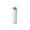 Pentair OMNIFilter Whole Home 20-Inch Heavy-Duty Big Blue Lead and