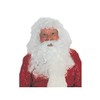 Santa Wig and Beard Set Costume Accessory