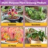 Riare 6QT Orchid Potting Mix, Natural Orchid Bark Potting Mix