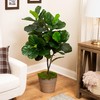 Northlight 4' Potted Two Tone Green Artificial Wide Fiddle Leaf