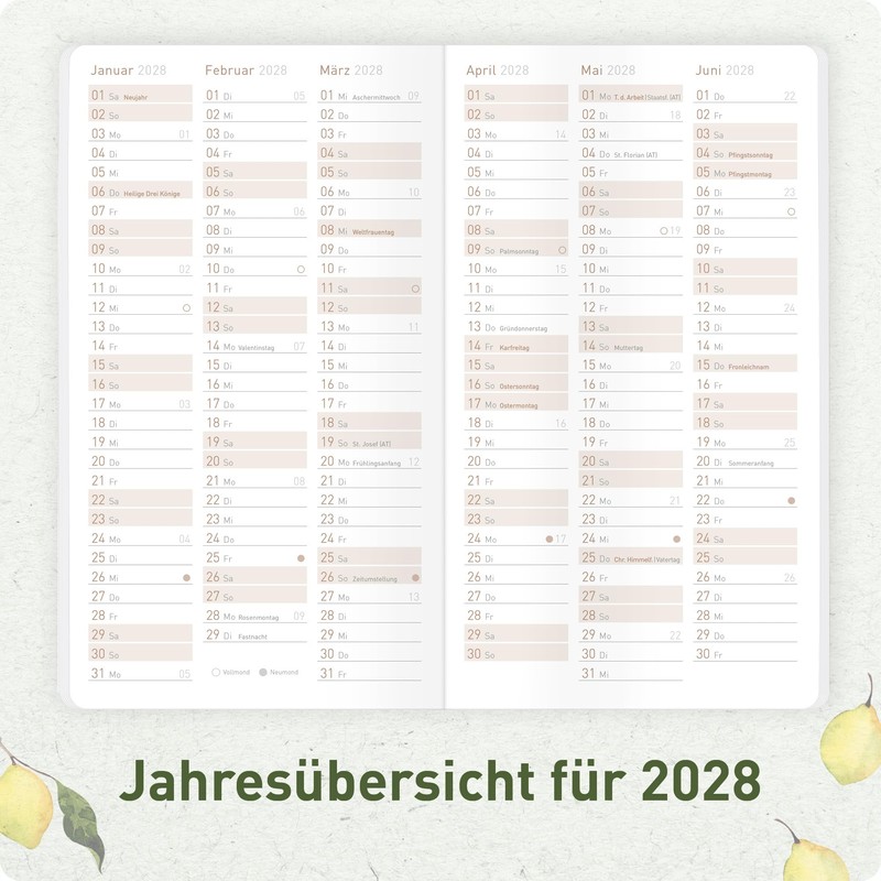 Häfft® Monthly Calendar 2027 A6+ Slim "Lemon Times" 1 Month