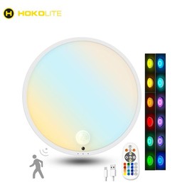 Hokolite 7 Inch Motion Sensor Ceiling Light with Magnetic Base, 12 Dynamic RGB Colors, 120° Wide Coverage, Rechargeable Timer Function, 1.32 Pounds - Specification: 2 Pack