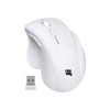 NEWWAY NM255 2.4GHz Wireless Mouse with Ergonomic USB Receiver, DPI