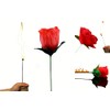 Yeahgoshopping The Torch to Rose Magic Trick – A Mesmerizing