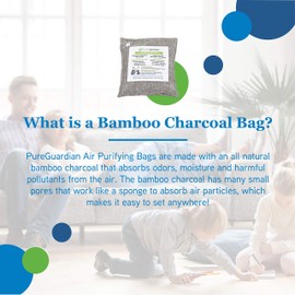 PureGuardian CB200 Bamboo Charcoal Air Purifying Bag, Eco-Friendly, Naturally Absorbs Odors, Excess Moisture and Pollutants, 200g, Gray