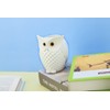 HDMbigmi Owl Pen Holder Makeup Brush Holder Resin Desk Organizer