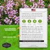 SURVIVAL GARDEN SEEDS Creeping Thyme Seed for Planting - 1
