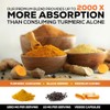 Nature's Nutrition | Cúrcuma con BioPerine 1950mg | Soporte Articular