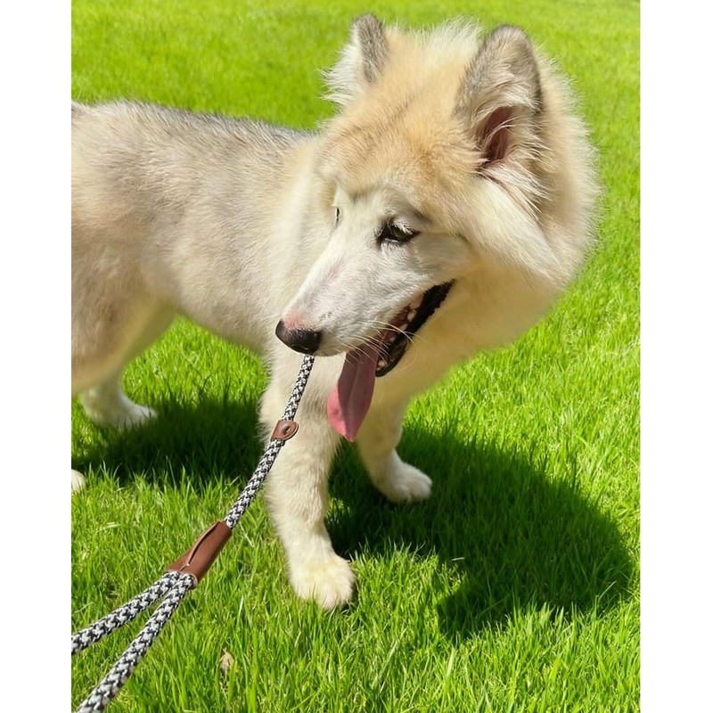 YUCFOREN 3FT Slip Lead Dog Leash, 1/2 Inch Thick Nylon