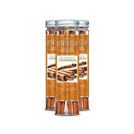 ScentSicles 6 Piece Two Dashes of Cinnamon Bottle, 3 Bottles Per Pack