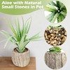 Nearly Natural Aloe Succulent Artificial Plant，10" Tall Realistic Agave Plant