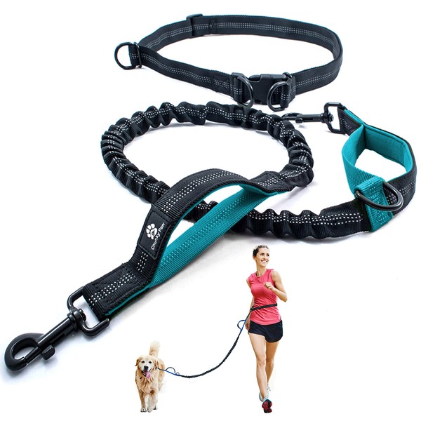 CHUNKY PAW Hands Free Dog Leash for Medium and Large Dogs - Durable Dual Handle Waist Leash with Reflective Bungee for Running, Walking, Training, Hiking (Teal, for 1 Dog)
