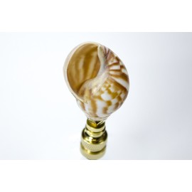 Snail Sea Shell Lamp Finial with Polished Brass Base 3.25" h