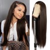SAPPHIREWIGS Brown Synthetic Lace Front Wig Long Straight Free Part