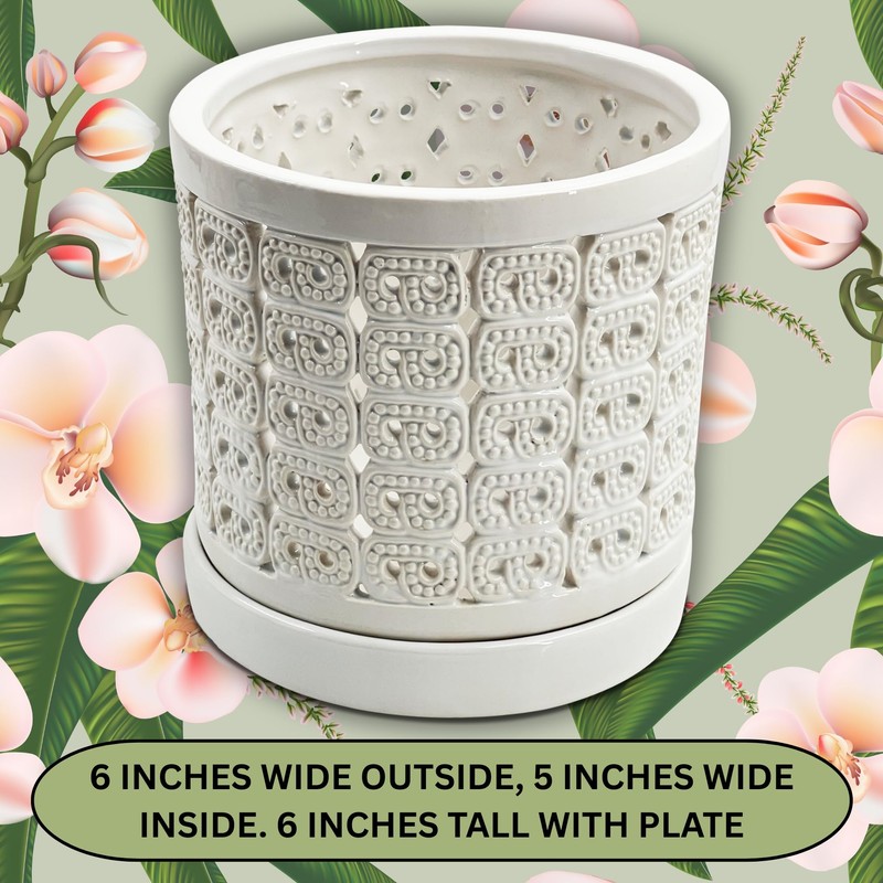 DESQUIGGLE White Ceramic Orchid Planter, 6 Inches Wide, Large Orchid