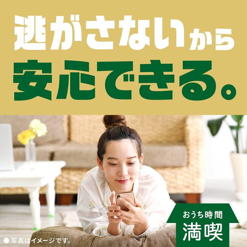 【防除用医薬部外品】ゴキジェットプロ ゴキブリ用殺虫スプレー [450mL]