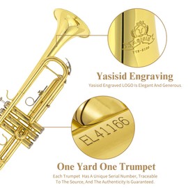 Trumpet Instrument,Band & Orchestra Musical Instruments for Beginners or Advanced Students,With trumpets case,Mouthpiece,Cloth and Gloves (Golden)