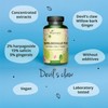 Devil’s Claw Vegavero® | 4400mg (8:1) Extract | 120 Vegan