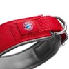 Hunter Neoprene Collar Reflect FC Bayern L (60)