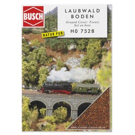 Deciduous Forest Ground